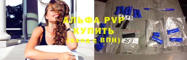 мдпв Каменка