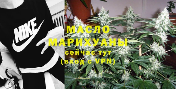 мдпв Каменка
