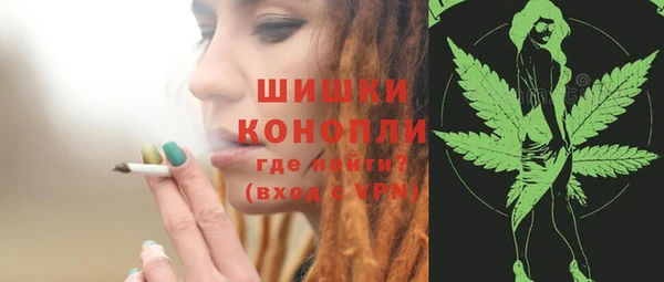 мдпв Каменка