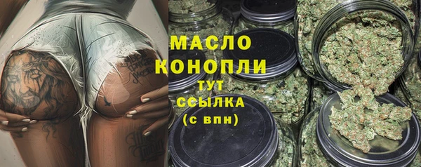 мдпв Каменка