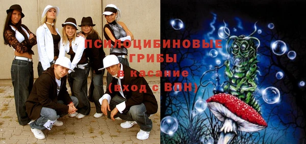крисы Каменск-Шахтинский
