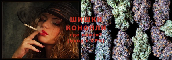 мдпв Каменка