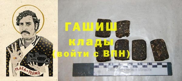 мдпв Каменка