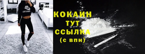мдпв Каменка