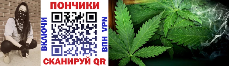 Купить закладки  Кондрово  Конопля MAZAR 